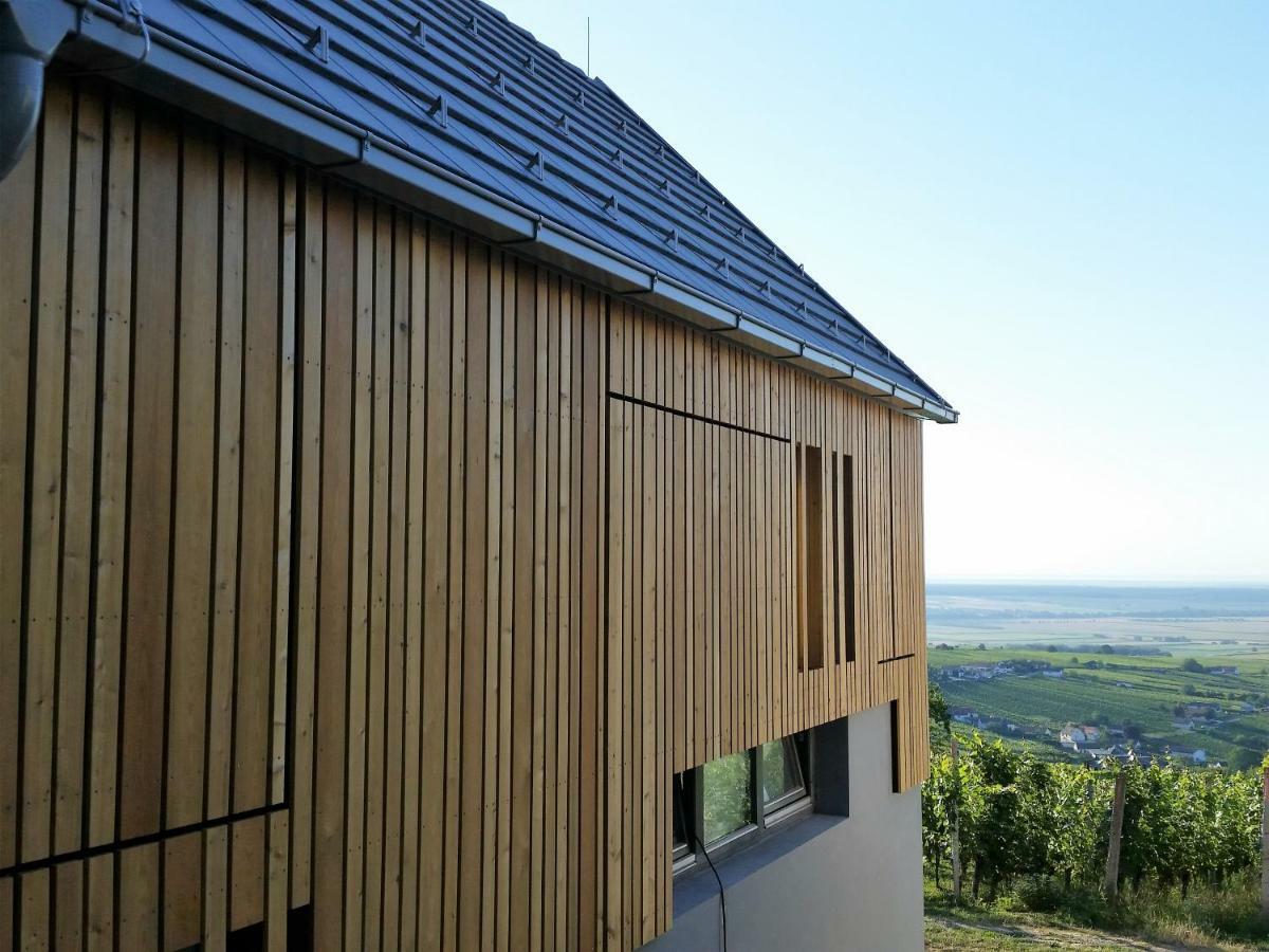Villa Weinlofts Weinloft II à Eisenberg an der Pinka Extérieur photo